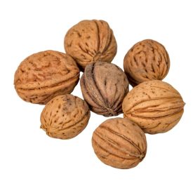 Barackmag mini natúr 15dkg/csom