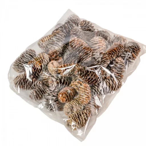 Kínai hosszúkás toboz 5-6cm havas 25dkg/csom