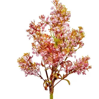 Őszi bogyós bokor 7ágú M32cm 48db/#