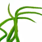 Csüngő hinár M90cm 36db/#