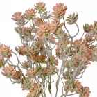 Rétihere bokor 7ágú mix M35cm 48db/#