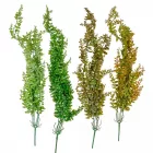 Páfrány futó 76cm 36db/#