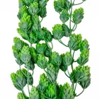 Komló futó 3ágú M70cm 36db/#