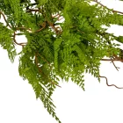 Recés levelű futó 75cm 24db/#