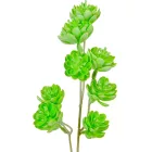 Kövirózsa pick mix M45cm 6db/szín/köteg 120/#
