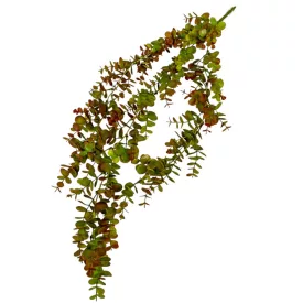 Eukaliptusz futó 70cm