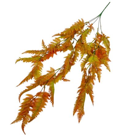 Páfrány futó ágú  80cm