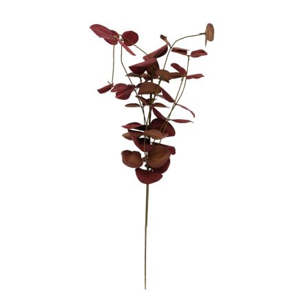 Leveles ág bordó 31cm