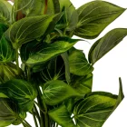 Zöld bokor M28cm 30db/#