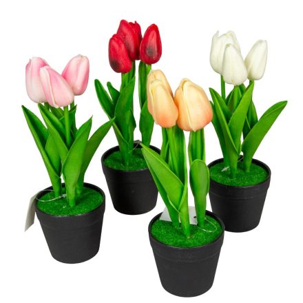 Cserepes tulipán polifoam touch M22cm