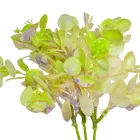 Eukaliptusz köteg 3ágú lila, rózsaszín M32cm 60db/#