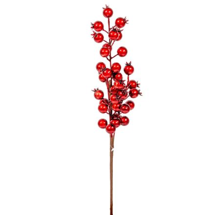 Csipkebogyó ág M32cm