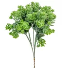 Kövirózsa pick 5ág M24cm