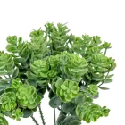 Kövirózsa pick 5ág M24cm