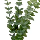 Eukaliptusz ág flokkolt M84cm 24db/#