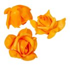 Polifoam rózsafej LTOR D6cm M4cm 12db-os (csom ár)