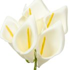 Kála csokor polifoam 6v. M34cm 12db/#