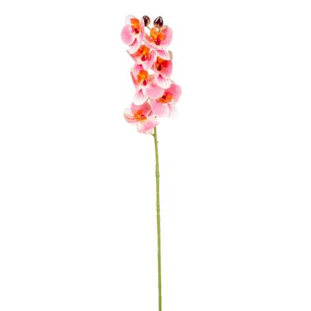 Orchidea szálas gumi M70cm 54db/#