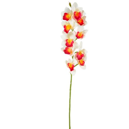 Orchidea ág gumi bordó-krém M77cm 24db/#