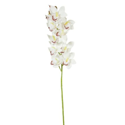 Orchidea ág gumi krém M77cm 24db/#