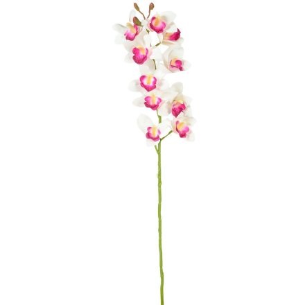Orchidea ág gumi krém-pink M77cm24db/#