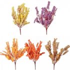 Köles bokor 7ágú mix M35cm 25db/#