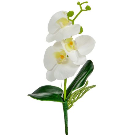 Orchidea+gyökér M32cm 36db/#