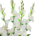 Kardvirág 5ágú krém M72cm 25db/#