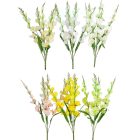 Kardvirág 5ágú mix M72cm 25db/#