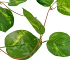 Girland zöld szív alakú 245cm 5db/csom