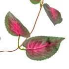 Girland rózsaszín cirkás szív alakú 245cm  5db/csom