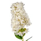 Bugás hortenzia ág krém M85cm 50db/#