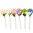 Hortenzia szálas mix M58cm 48db/#