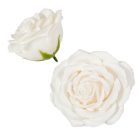 Szappan rózsa fej 9x6cm fehér 9db-os