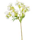 Tearózsa ág 5ágú fehér M58cm 24db/#