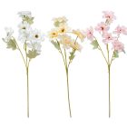Anemona ág 6v. mix M58cm 24db/#