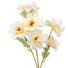 Anemona ág 6v. mix M58cm 24db/#