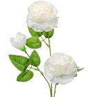 Peonia ág 3v. fehér M63cm 24db/#