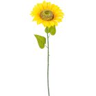 Napraforgó szálas M90cm 35db/#