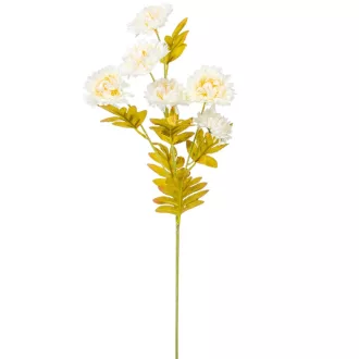 Dália ág kócos 6v. krém M60cm 48db/#