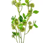 Bogáncs ág mix M85cm 72db/#