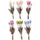 Tulipán köteg gumi mix 5v. M42cm 12db/#