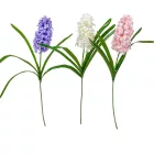 Szálas jácint M63cm 24db/#