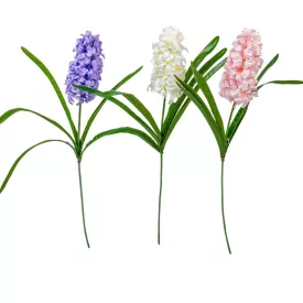 Szálas jácint M63cm 24db/#