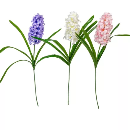 Szálas jácint M63cm 24db/#