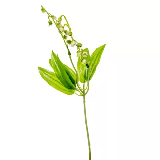 Gyöngyvirág pick M40cm 144db/#