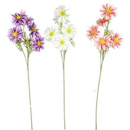 Kozmosz ág 5v. mix M80cm 24db/#