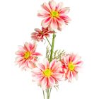 Kozmosz ág 5v. mix M80cm 24db/#