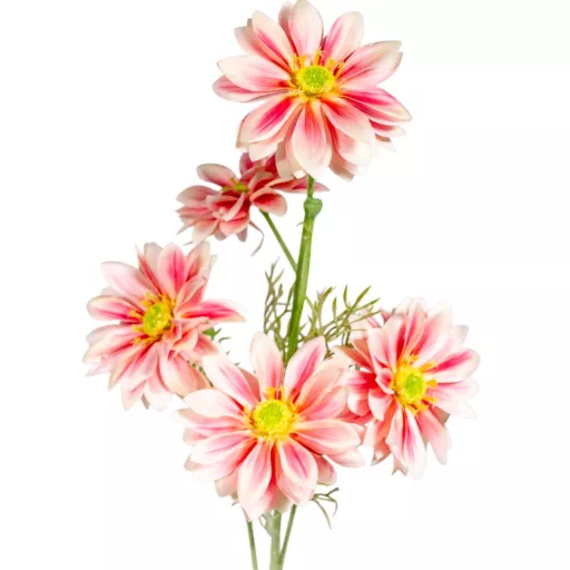 Kozmosz ág 5v. mix M80cm 24db/#