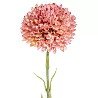 Dália szálas mix M59cm 36db/#